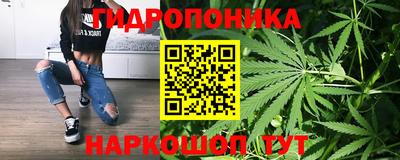ECSTASY Бийск