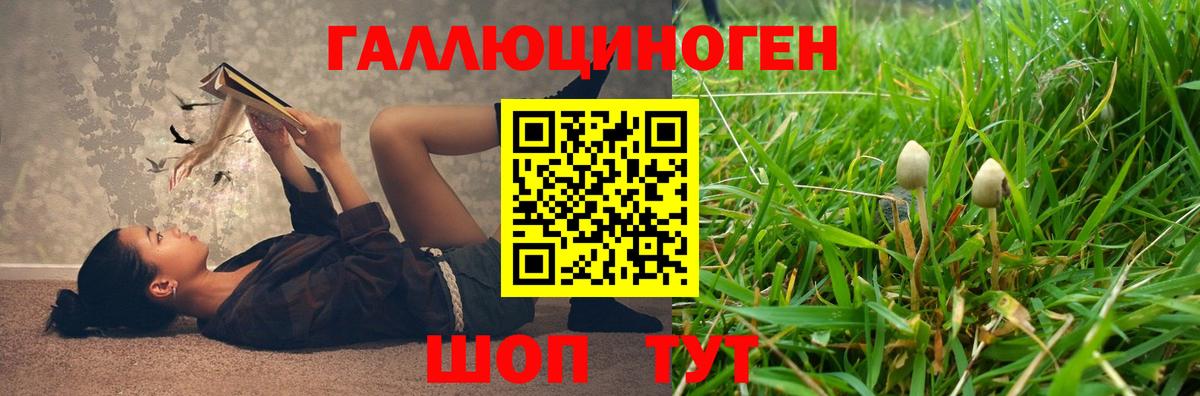 Галлюциногенные грибы Psilocybine cubensis  Вход с VPN  Гулькевичи 